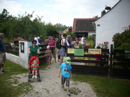 pohadkova-kovarna-selibov